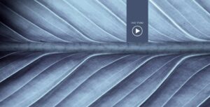 Mixture of Preservatives_Header_Antimikrobiell_Antimicrobial