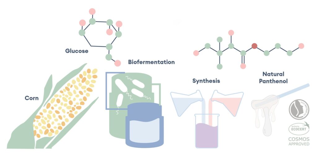 Panthenol Process Illustration e1784711158458