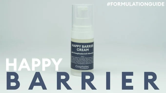 happy-barrier-thumbnail-2